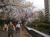 20070331_234326_kris.jpg