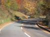 20081102-100737-pug.jpg