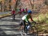 20081102-102958-msw.jpg