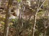 20081102-103308-msw.jpg