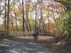 20081102-103809-pug.jpg