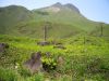 20090509-133252-kyushu-jon.jpg