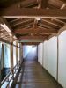 20101122-090858-koyasan-naoko.JPG